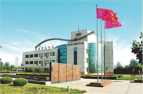 技术赋能，破局前行 山东粮食产业破解同质化困局的转型实践